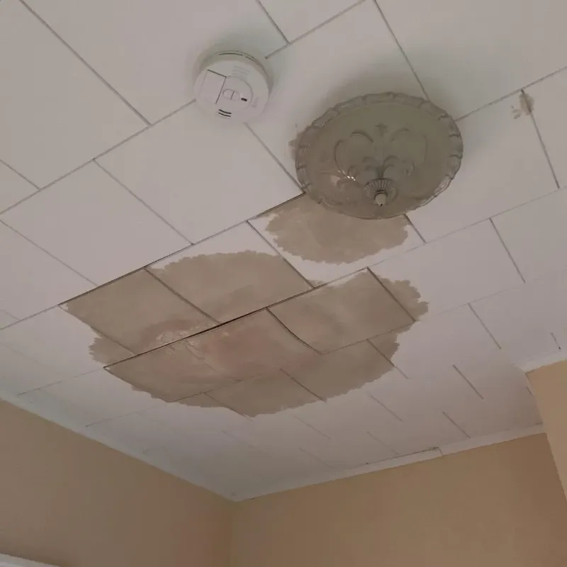 Ceiling Water Damage Repair in Warren County, IN