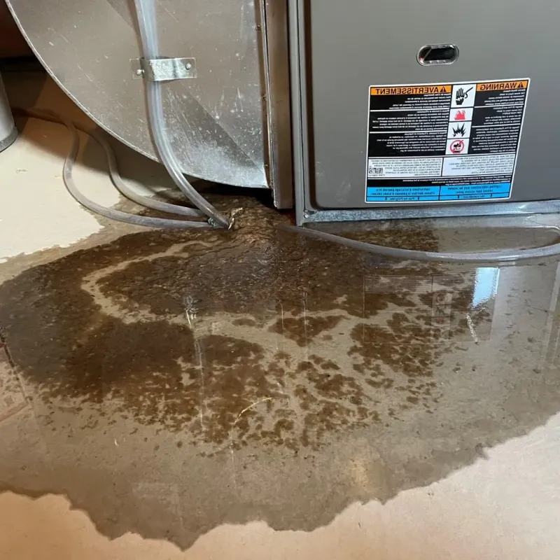 Pipe Burst and Leak Restoration in Warren County, IN