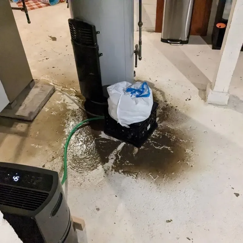 Sewage Backup Cleanup Service in Warren County, IN